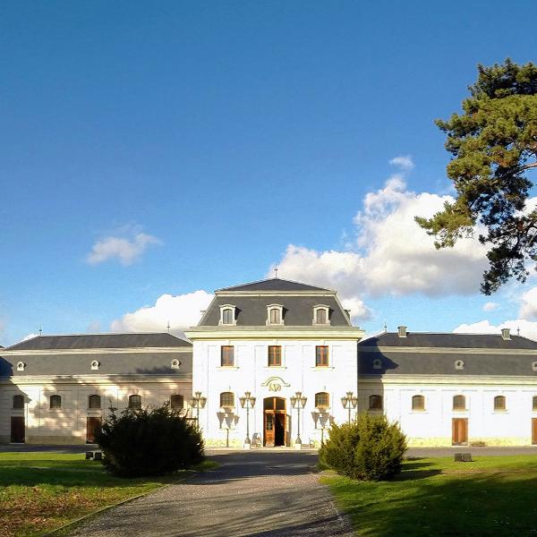Festetics Kastly & Hintmzeum